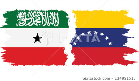 Venezuela and Somaliland grunge flags connection vector Venezuela and Somaliland grunge flags connection vector 134951513