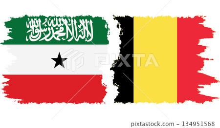 Belgium and Somaliland grunge flags connection vector Belgium and Somaliland grunge flags connection vector 134951568