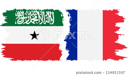 France and Somaliland grunge flags connection vector France and Somaliland grunge flags connection vector 134951597
