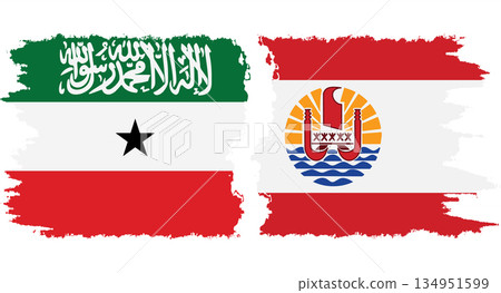 French Polynesia and Somaliland grunge flags connection vector French Polynesia and Somaliland grunge flags connection vector 134951599