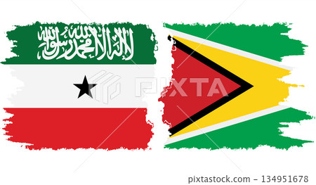 Guyana and Somaliland grunge flags connection vector 134951678