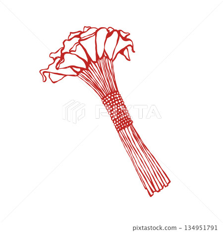 Vector illustration of a wedding bouquet with lilies and pearls. Newlyweds. Wedding flowers in a linear style. Vector red sketch illustration. Vector illustration of a wedding bouquet with lilies and pearls. Newlyweds. Wedding flowers in a linear style. Vector red sketch illustration. 134951791