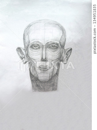 Portrait of a abstract head man. Charcoal portrait . Sketching and Academic drawing. 134951835