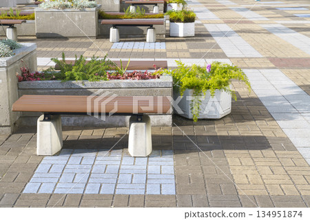 Modern urban public square with wooden benches and concrete planters on patterned stone pavement. Landscaped city plaza for outdoor relaxation in bright sunny daylight. High quality street furniture. Modern urban public square with wooden benches and concrete planters on patterned stone pavement. Landscaped city plaza for outdoor relaxation in bright sunny daylight. High quality street furniture. 134951874