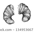 Croissant handdrawn sketch 4 134953667