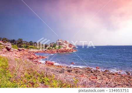 Ploumanac'h pink granite coast, cotes-d'armor, brittany, france Ploumanac'h pink granite coast, cotes-d'armor, brittany, france 134953751