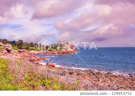 Ploumanac'h pink granite coast, cotes-d'armor, brittany, france 134953752