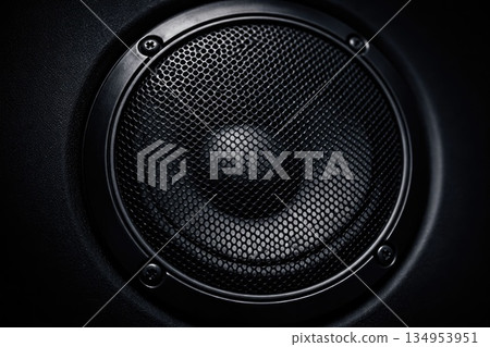 Powerful Subwoofer Speaker Close-Up with Dark Background 134953951