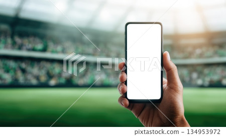 Hand Holding Smartphone with Blank Screen at Sports Stadium, Mockup Concept 134953972