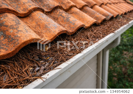 Clogged Roof Gutter Filled with Pine Needles and Leaves 134954062