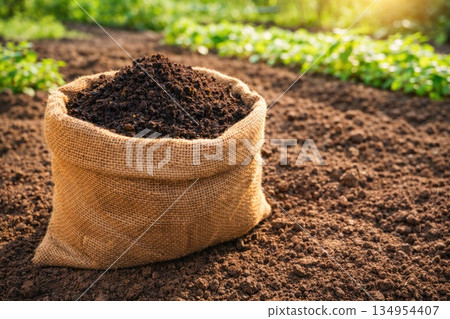 Organic Fertile Soil in Burlap Sack on Garden Bed with Green Plants Background 134954407