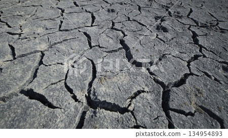 Parched, cracking desert ground revealing harsh climate impact in ukrainian landscape, signaling ecological distress 134954893