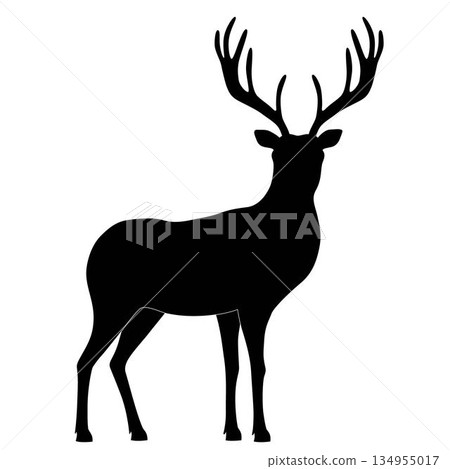 Print Print 134955017