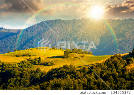 mountainous countryside landscape with rolling hills on summer sunset. rural area in evening light. beautiful view of place with green grassy pastures. storytelling cinematic image under the rainbow 134955372