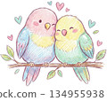 Love Bird Couple 134955938