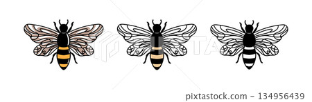 Honey Bee vector design templete.  134956439
