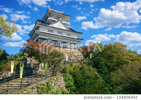 岐阜城堡 134956442