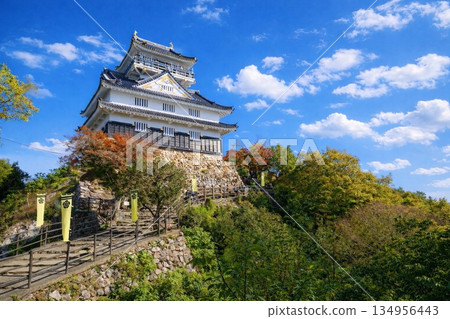 岐阜城堡 134956443