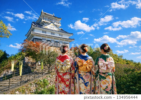 岐阜城堡 134956444