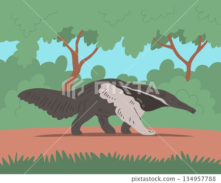 Giant anteater walking in forest landscape 134957788