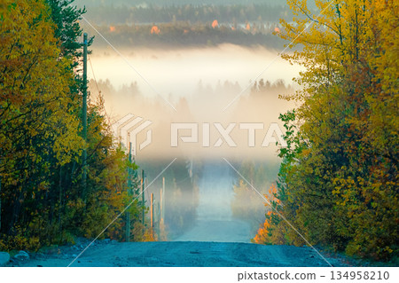 Dirt road through autumn woods, fog illuminated by sun Dirt road through autumn woods, fog illuminated by sun 134958210