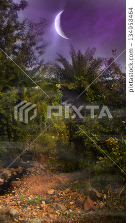 Huge crescent moon hangs over jungle Huge crescent moon hangs over jungle 134958464