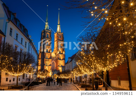 Street with cobblestone road, lights on trees, St. John the Baptist Cathedral, Wroclaw, Poland Street with cobblestone road, lights on trees, St. John the Baptist Cathedral, Wroclaw, Poland 134959611