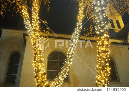 Garlands of glowing small bulbs, hanging on a tree in an evening dark park, and swinging. The theme of the New Year and Christmas. Festive atmosphere. Beautiful electric outdoor decorations. Xmas joy Garlands of glowing small bulbs, hanging on a tree in an evening dark park, and swinging. The theme of the New Year and Christmas. Festive atmosphere. Beautiful electric outdoor decorations. Xmas joy 134959903