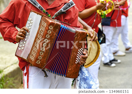 Accordion player with his instrument Accordion player with his instrument 134960151