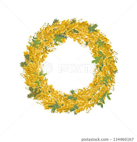 Mimosa pressed flower circular wreath, frame photo on white background, spring copy space material Mimosa pressed flower circular wreath, frame photo on white background, spring copy space material 134960167