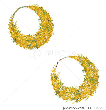 Set of two pressed mimosa crescent wreaths, framed photos on a white background, and a great value design collection Set of two pressed mimosa crescent wreaths, framed photos on a white background, and a great value design collection 134960170