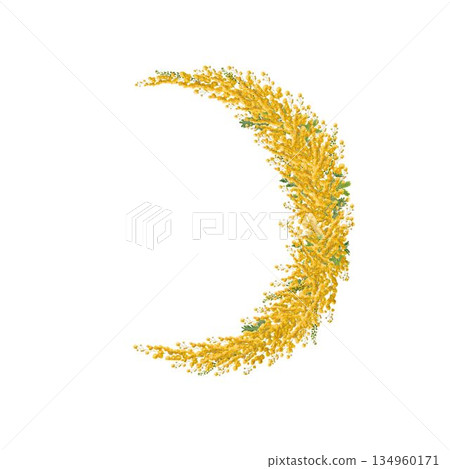 Pressed mimosa flower crescent wreath, framed photo on white background, spring copy space material 134960171