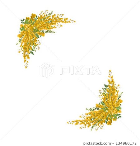 Diagonal corner decorative frame made from pressed mimosa flowers, copy space photo for message card on white background 134960172