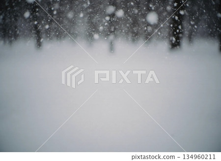 Snow falls heavily in a forest, covering the ground with a thick layer. Trees are barely visible in the distance due to the heavy snowfall and white surroundings Generative AI Snow falls heavily in a forest, covering the ground with a thick layer. Trees are barely visible in the distance due to the heavy snowfall and white surroundings Generative AI 134960211