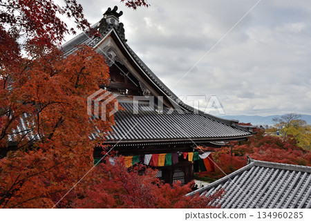 永觀禪林寺、禦江堂和楓樹(京都市左京區) 永觀禪林寺、禦江堂和楓樹(京都市左京區) 134960285