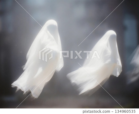 Two ethereal ghosts glide silently through a foggy atmosphere in a deserted area, creating an eerie but captivating scene at dusk Generative AI 134960535
