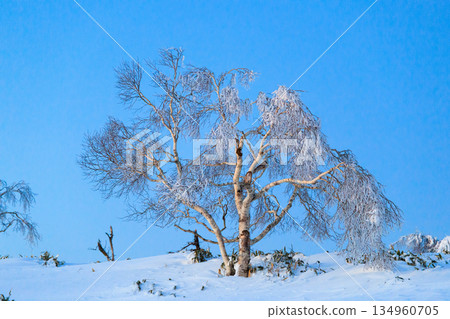 Bikini of Bihoro Pass 134960705