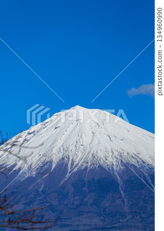 這是在富士宮淺間神社附近拍攝的富士山豎幅照片。 這是在富士宮淺間神社附近拍攝的富士山豎幅照片。 134960990