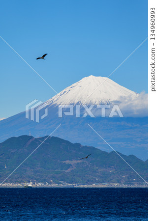 Mount Fuji taken at Miho Masaki Beach in Shimizu, Shizuoka 134960993