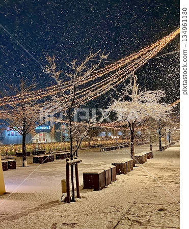First snow at night in Saitama Shintoshin 4 First snow at night in Saitama Shintoshin 4 134961180