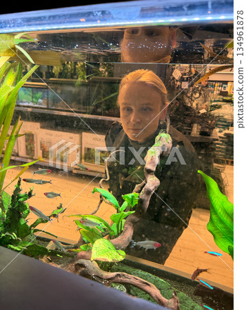 Woman Observing Aquarium Fish Display Woman Observing Aquarium Fish Display 134961878