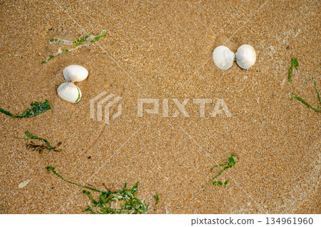 A close-up view of the sandy texture and scattered seashells on Omaha Beach. The subtle details reflect the peaceful present of this historically significant World War II landing site. A close-up view of the sandy texture and scattered seashells on Omaha Beach. The subtle details reflect the peaceful present of this historically significant World War II landing site. 134961960
