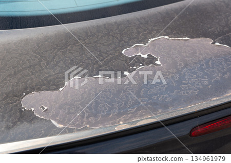 Heavily weathered and peeling car paint on rear trunk 134961979