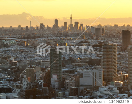 <鳥瞰圖> 雪後的早晨,東京市中心和東京晴空塔盡收眼底。 <鳥瞰圖> 雪後的早晨,東京市中心和東京晴空塔盡收眼底。 134962249