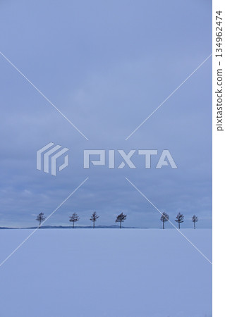 Winter fairy tale hills Winter fairy tale hills 134962474