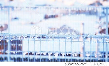 Snowy and frozen fence 134962566
