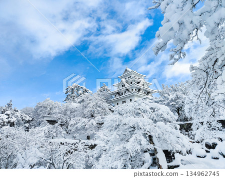 雪中的郡上八幡城 134962745