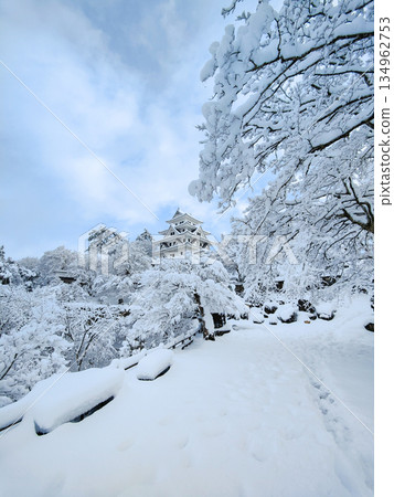 雪中的郡上八幡城 134962753