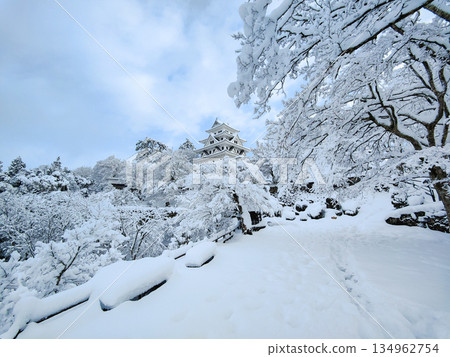 雪中的郡上八幡城 134962754
