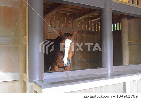 伊勢神宮內殿聖馬厩-1 伊勢神宮內殿聖馬厩-1 134962769